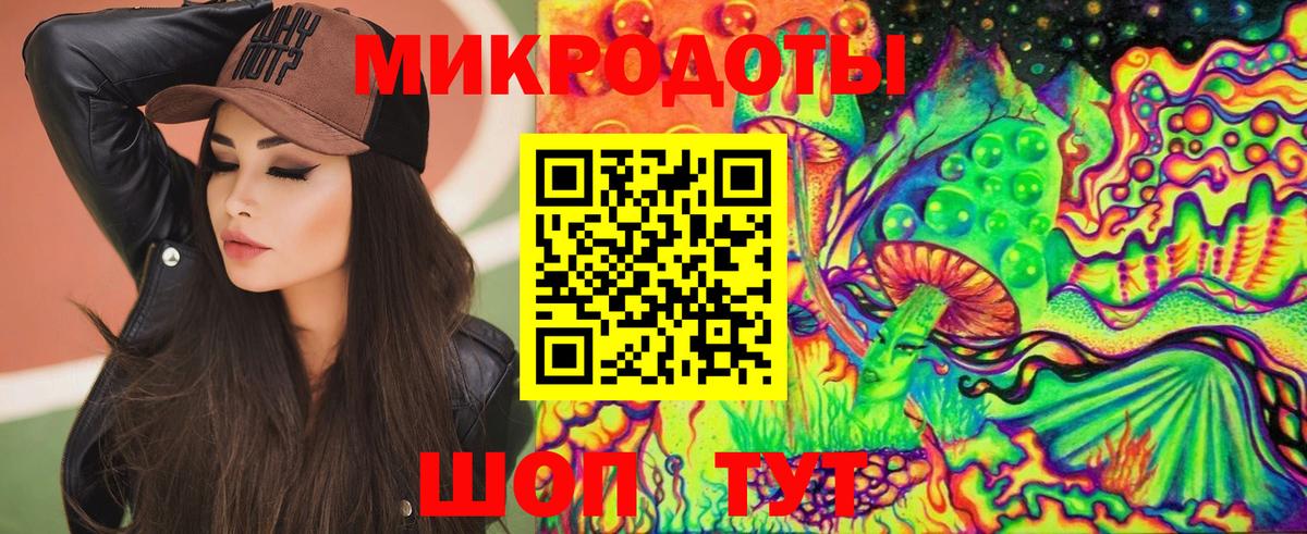 Псилоцибиновые грибы Psilocybine cubensis Полысаево